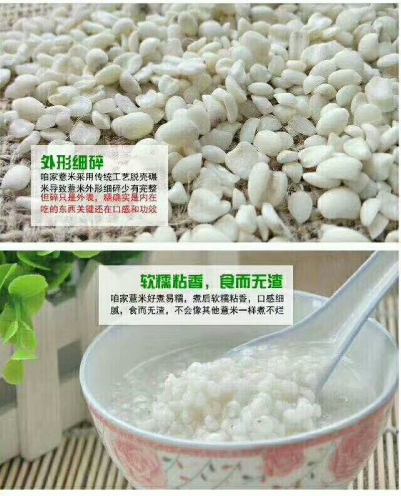 薏米散装