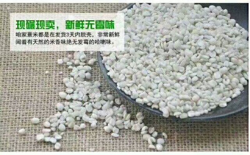 薏米散装