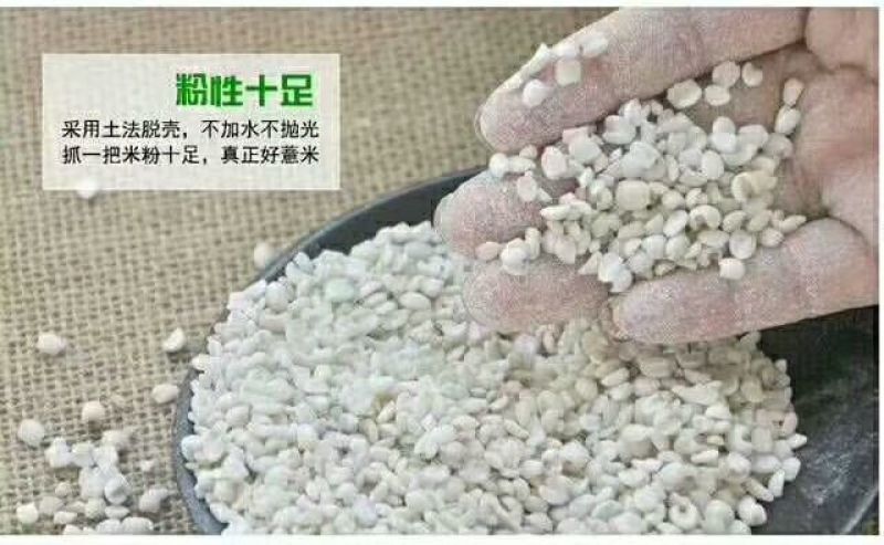 薏米散装