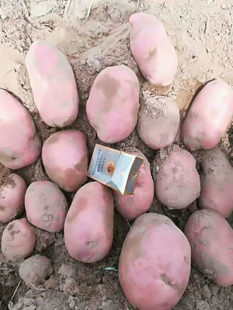 沃土5号3两以上精品装箱子装框子袋子你说了算