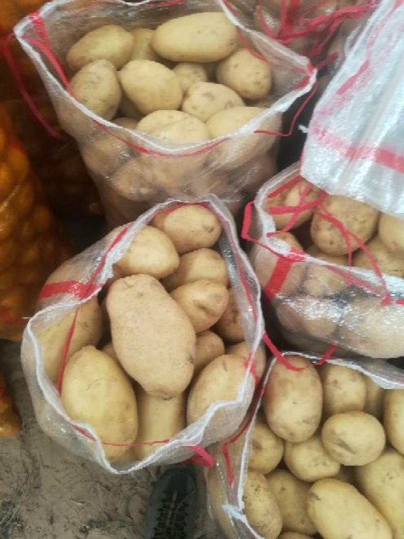 沃土5号3两以上精品装箱子装框子袋子你说了算