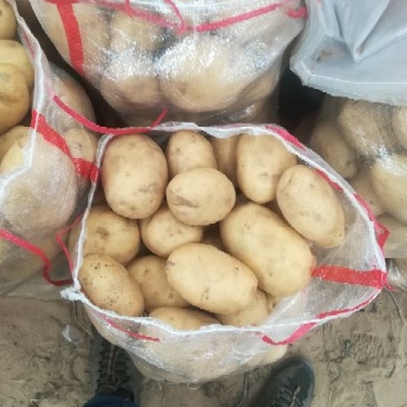 沃土5号3两以上精品装箱子装框子袋子你说了算