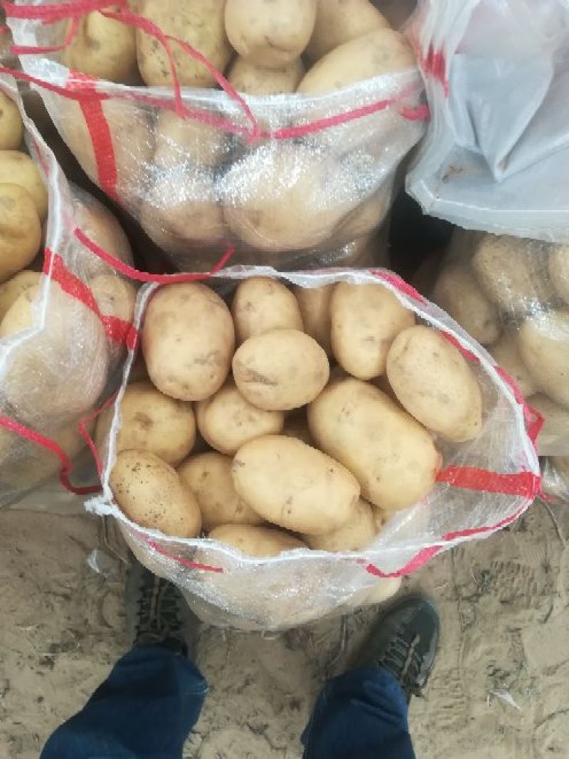 沃土5号3两以上精品装箱子装框子袋子你说了算