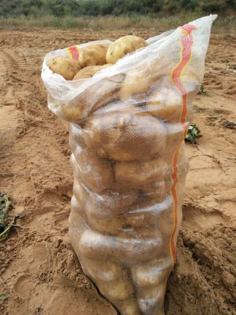 沃土5号3两以上精品装箱子装框子袋子你说了算