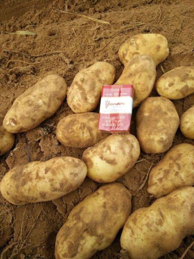 沃土5号3两以上精品装箱子装框子袋子你说了算