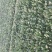 大叶菠菜20~25厘米