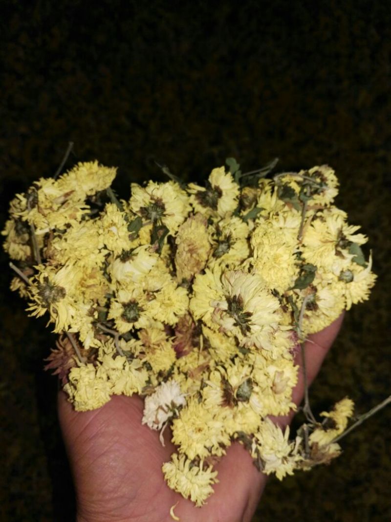 怀菊花袋装