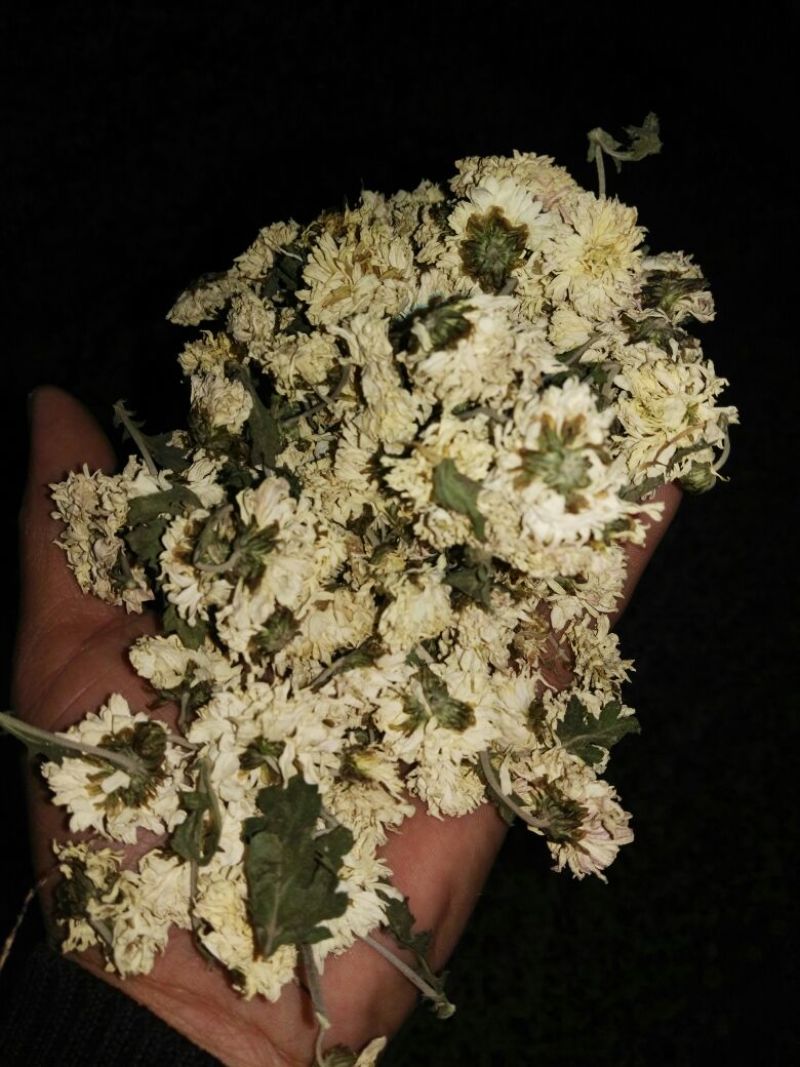 怀菊花袋装