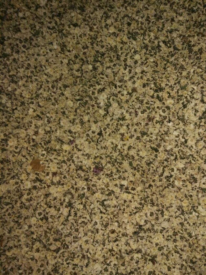 怀菊花袋装