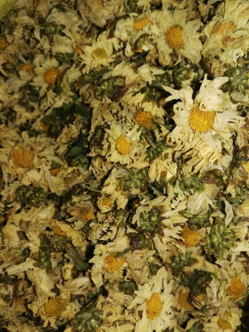 怀菊花袋装