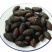茧蛹