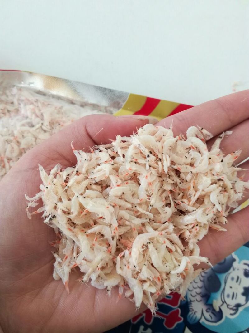 虾皮三级