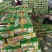 东方蜜甜瓜1.5斤以上精品中国甜瓜香瓜基地