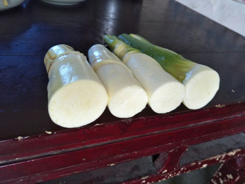 湖北仙桃精品双季茭白/带壳/诚信经营/量大价优