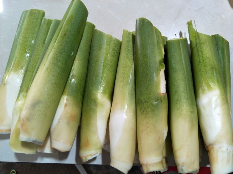 湖北仙桃精品双季茭白/带壳/诚信经营/量大价优