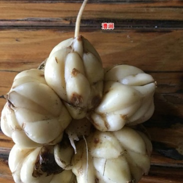 鲜百合三头药食两用