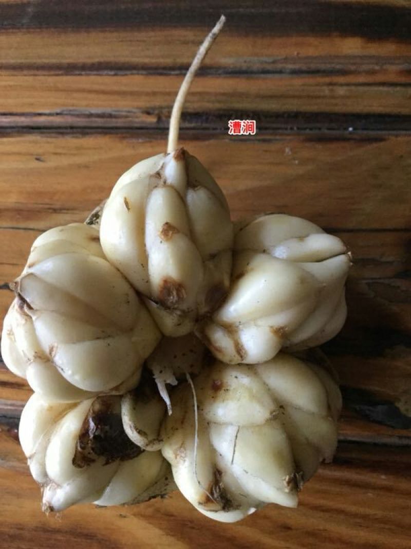 鲜百合三头药食两用
