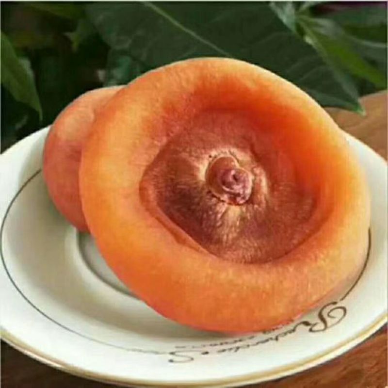 柿饼1~2两