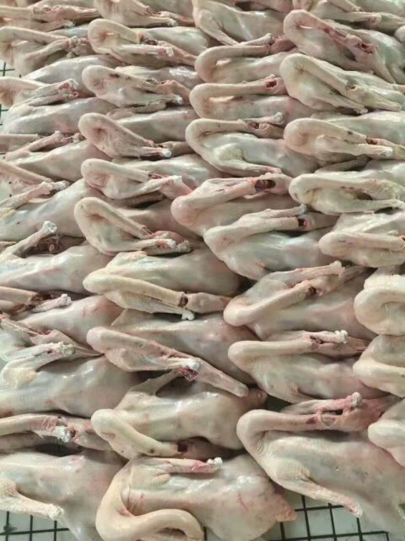 鹅肉散装
