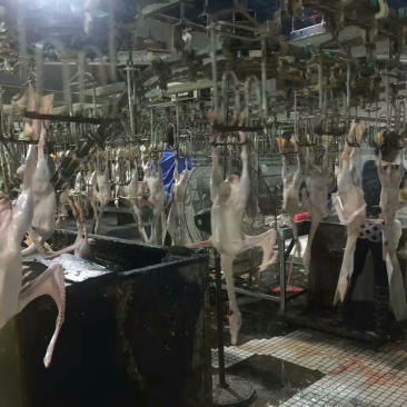 鹅肉散装