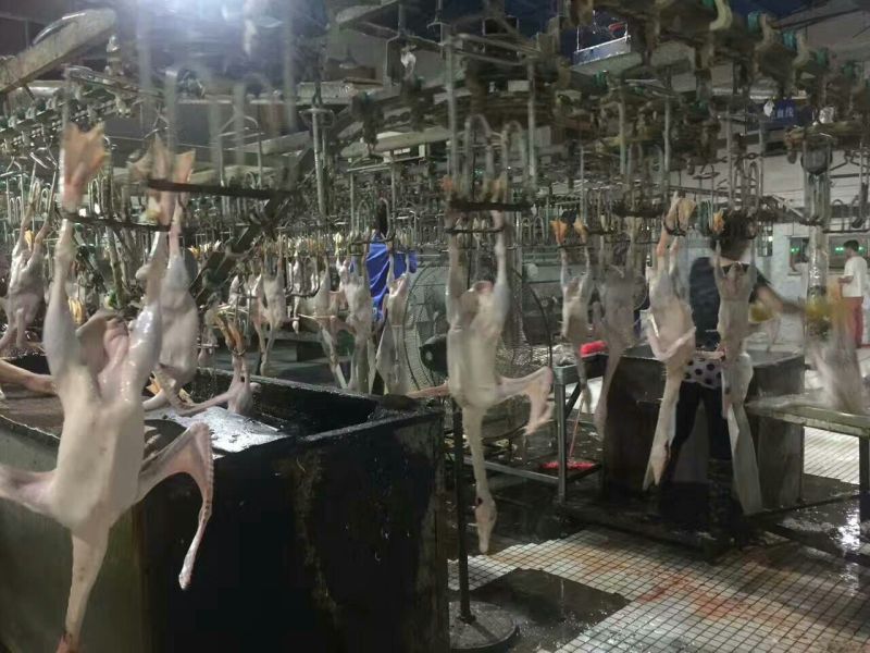 鹅肉散装