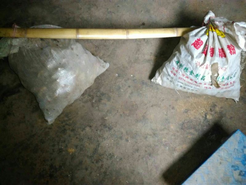 天麻一级