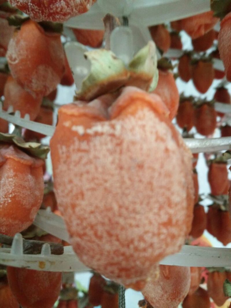 柿饼1~2两