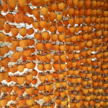 柿饼1~2两