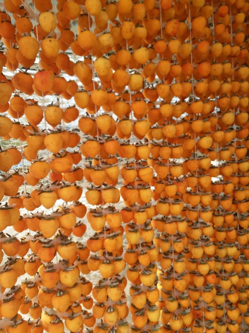 柿饼1~2两