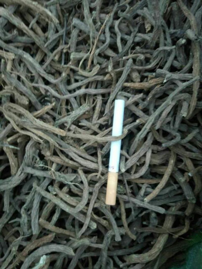 续断
