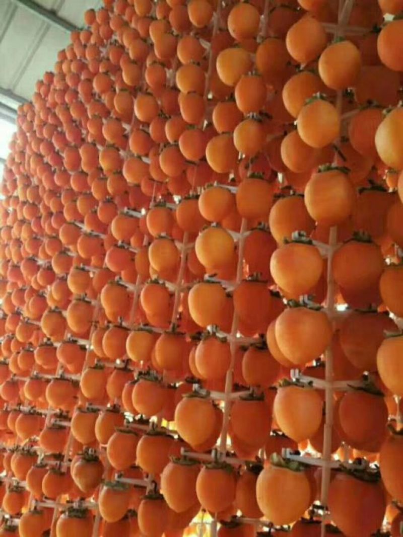 柿饼1两以下