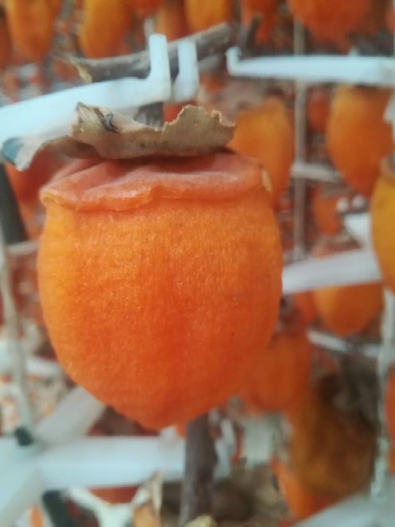 柿饼1两以下