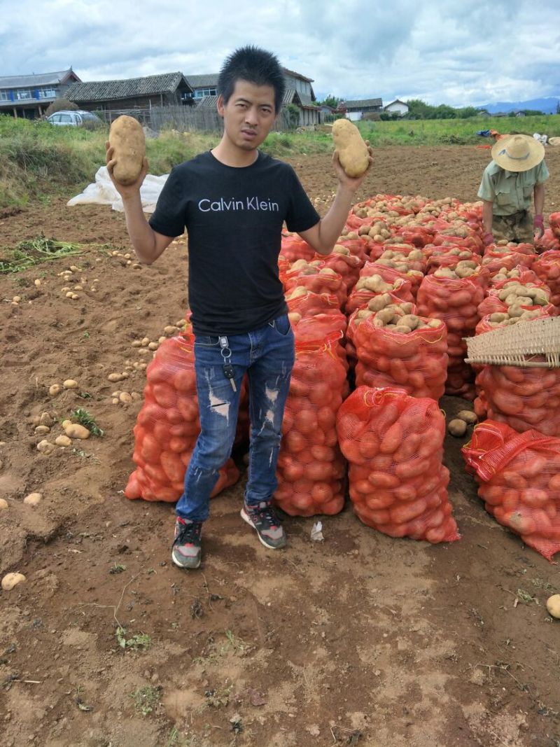 复混肥料