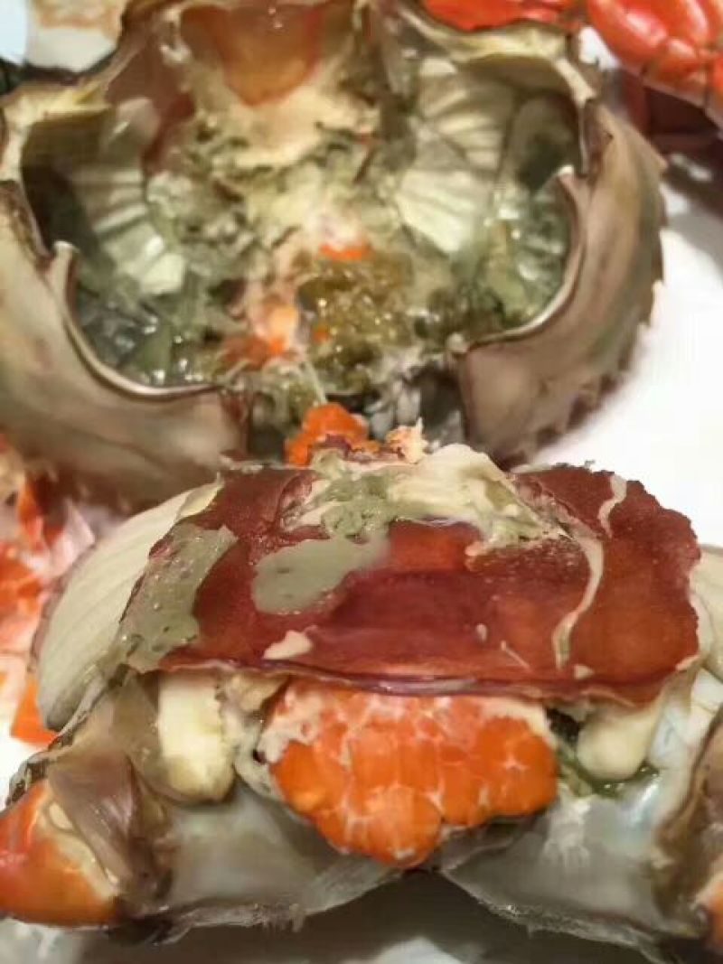 锯缘青蟹食用雌蟹