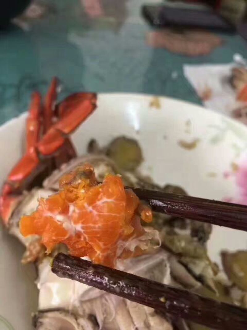 锯缘青蟹食用雌蟹