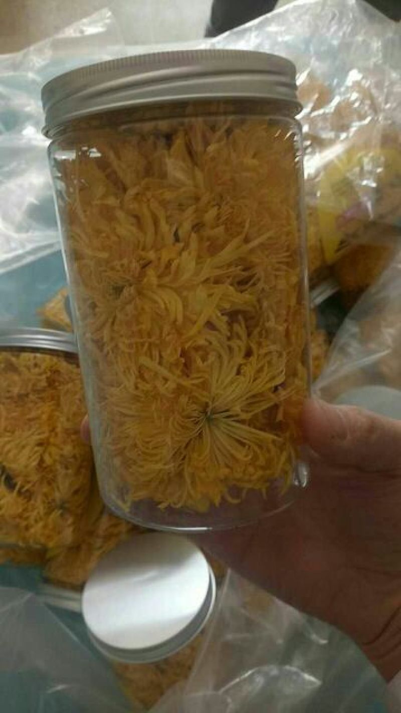 金丝皇菊茶一级