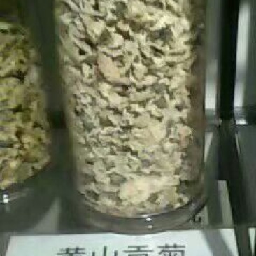 白菊花茶特级