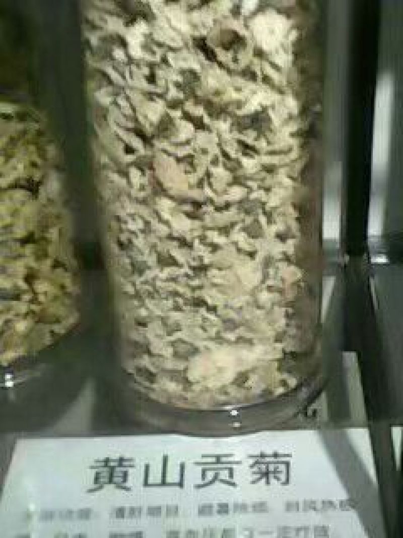 白菊花茶特级