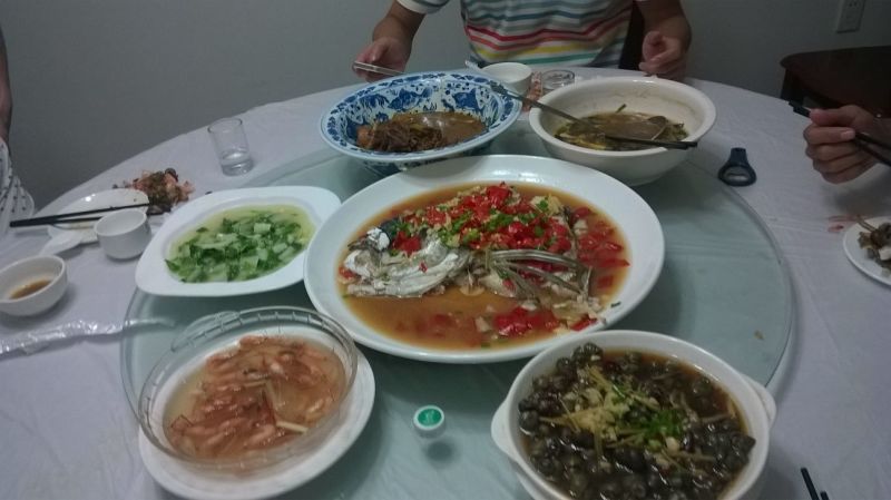 鳜鱼30~40cm食用活鱼