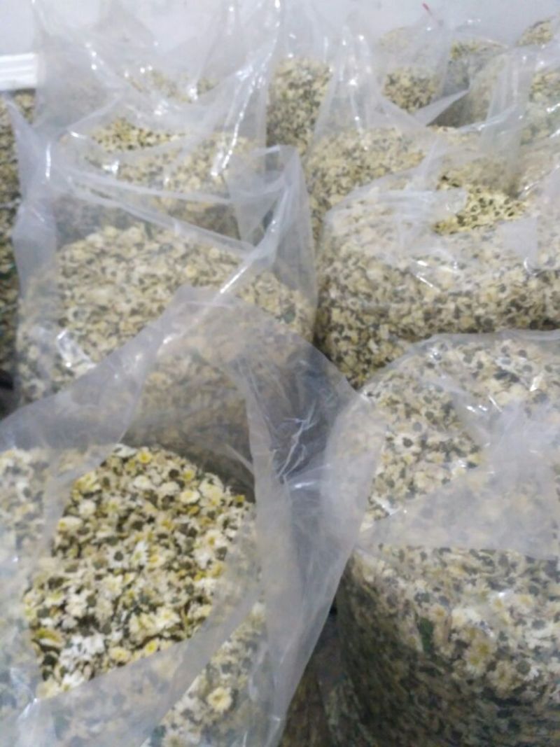 菊花茶一级