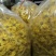 皇菊0.5~1米