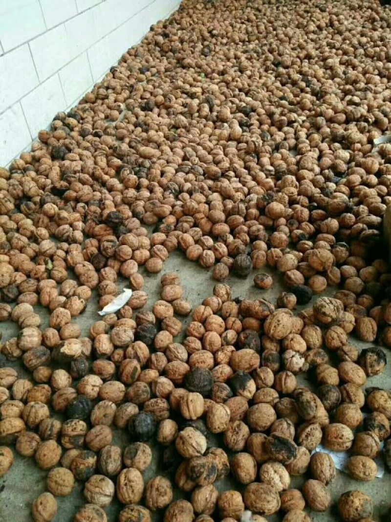 香玲核桃去皮25~30mm干有青皮的1，7元每斤电