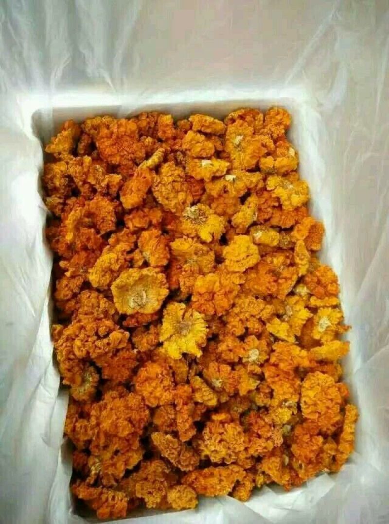 金耳批发