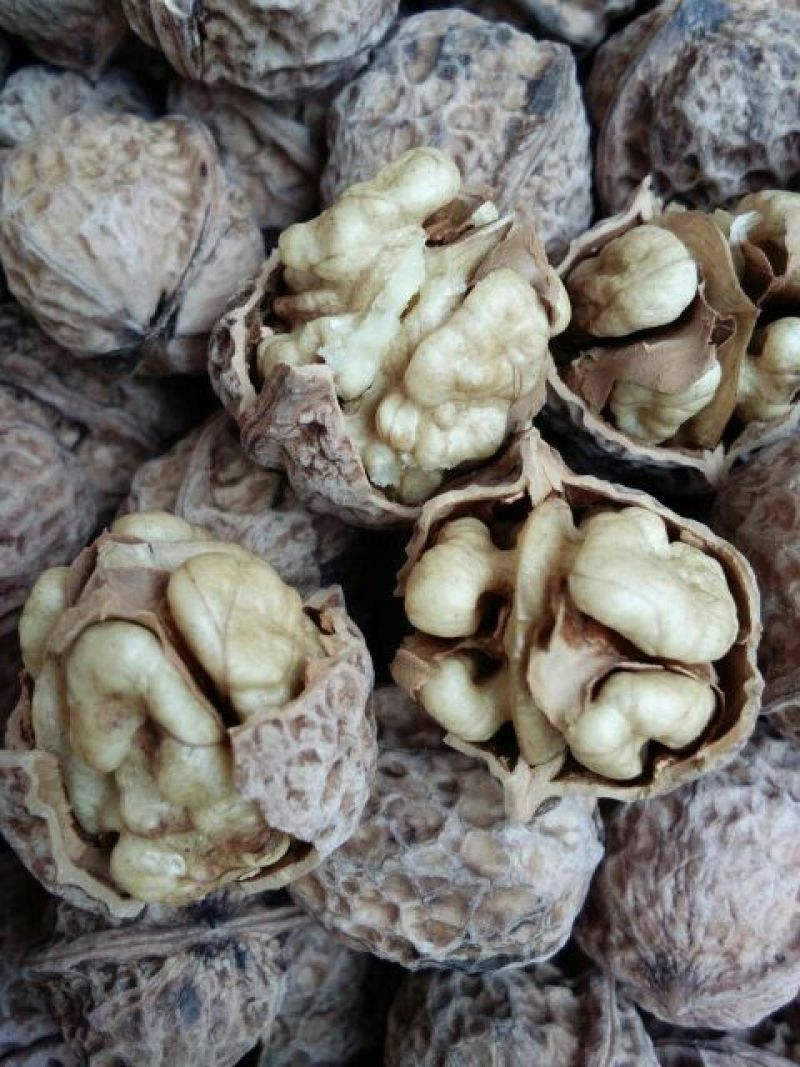 核桃去皮25~30mm干