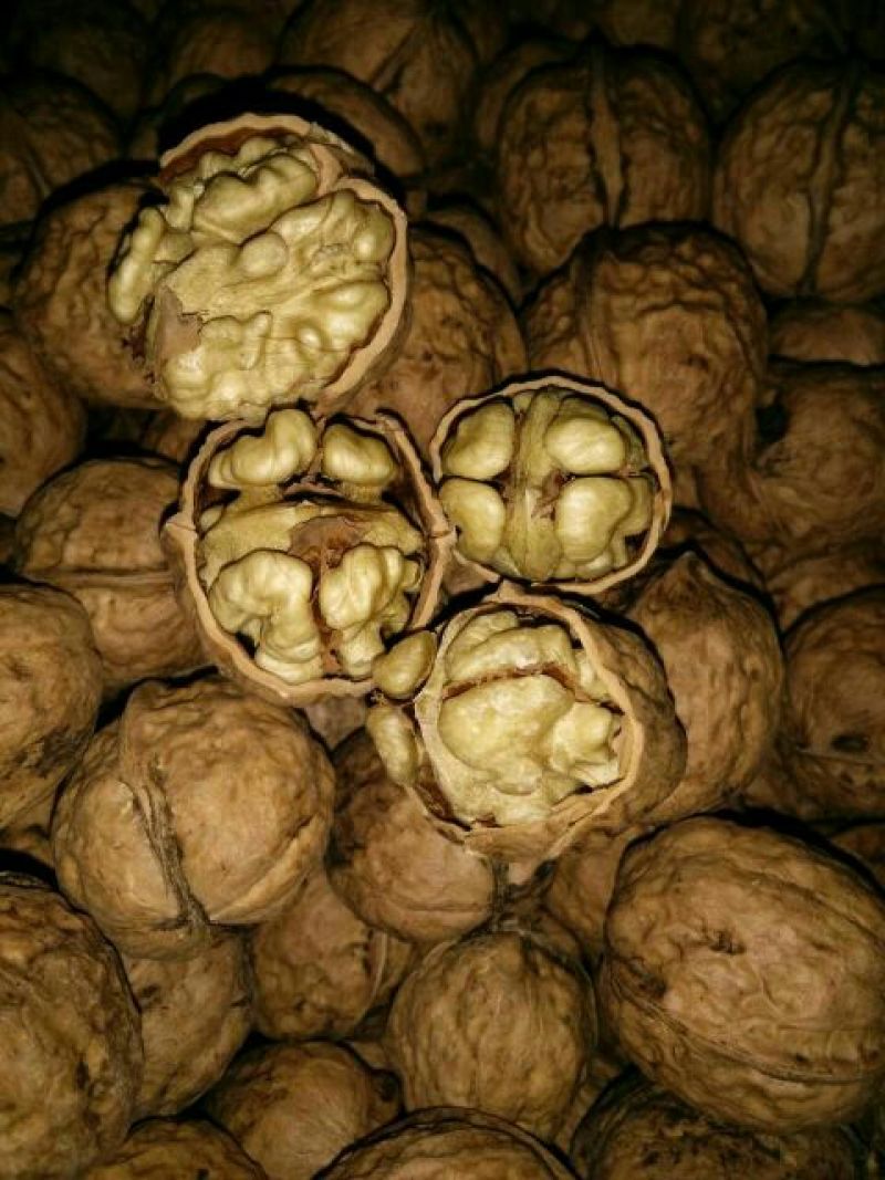 核桃去皮25~30mm干
