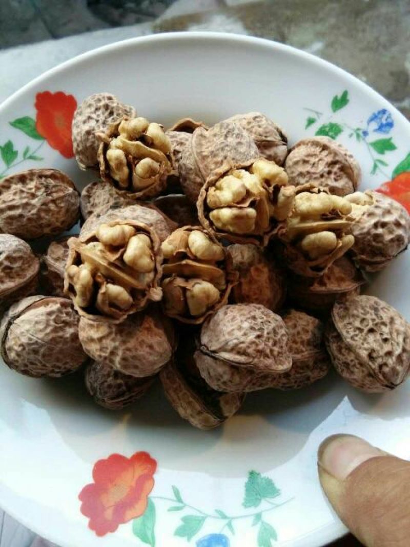 核桃去皮25~30mm干