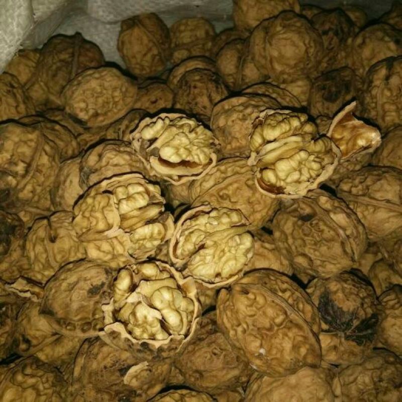 核桃去皮25~30mm干