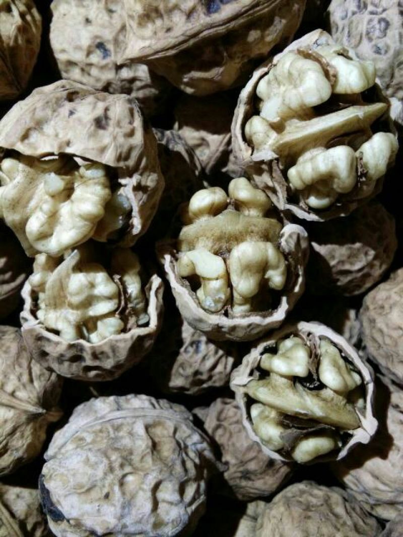 核桃去皮25~30mm干