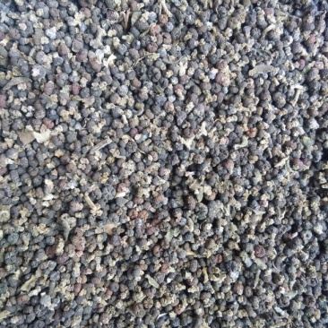 吴茱萸中花统