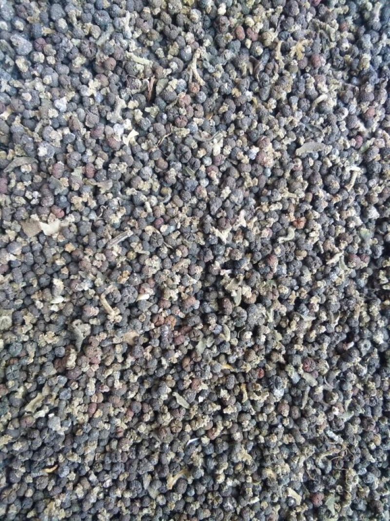 吴茱萸中花统